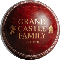 Cricket Ball