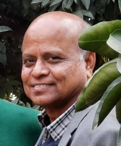 PALLAB GANGULY